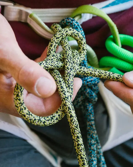 Starling Protect Pro Dry 8.2mm Rope