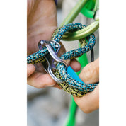 Edelrid Starling Protect Pro Dry 8.2mm Rope