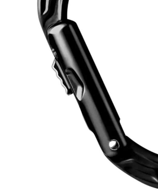 Kiwi Slider Carabiner