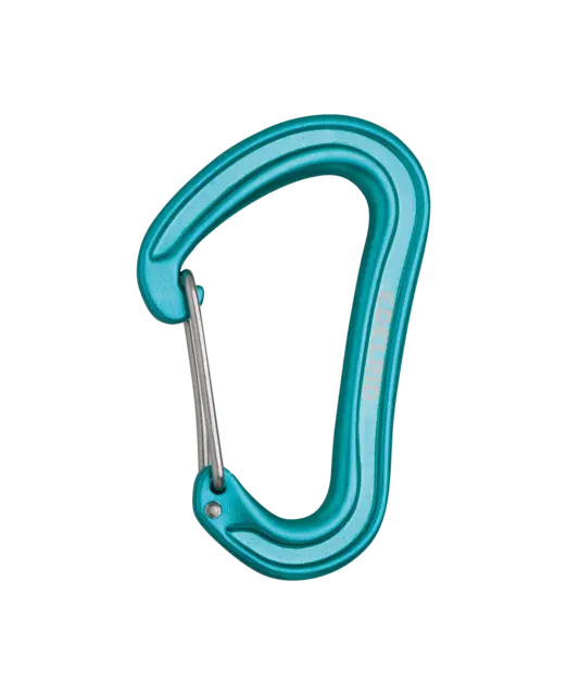 Nineteen G Carabiner