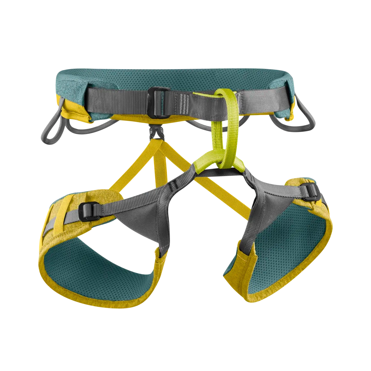 Jay Harness (Past Season)