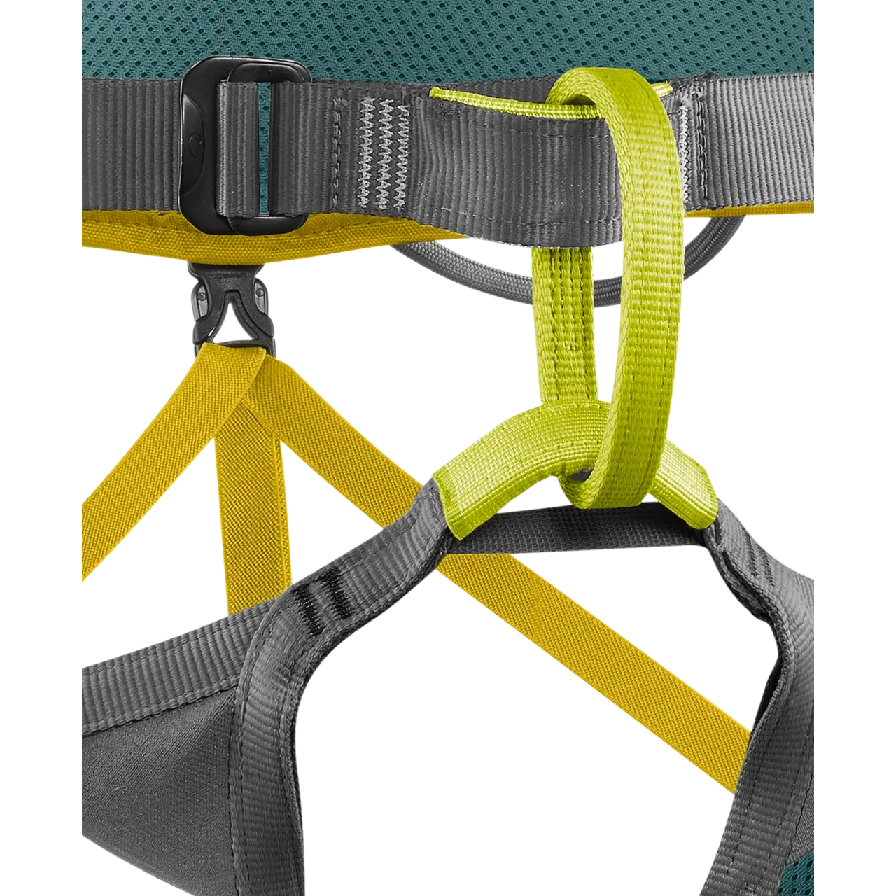 Jay Harness (Past Season)