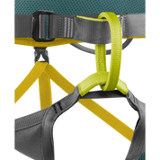 Jay Harness (Past Season)