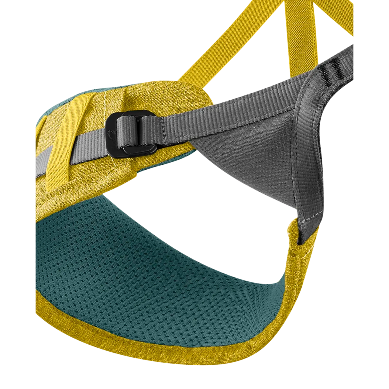 Jay Harness (Past Season)
