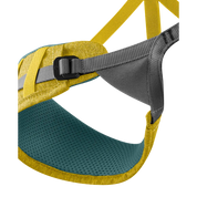 Jay Harness (Past Season)