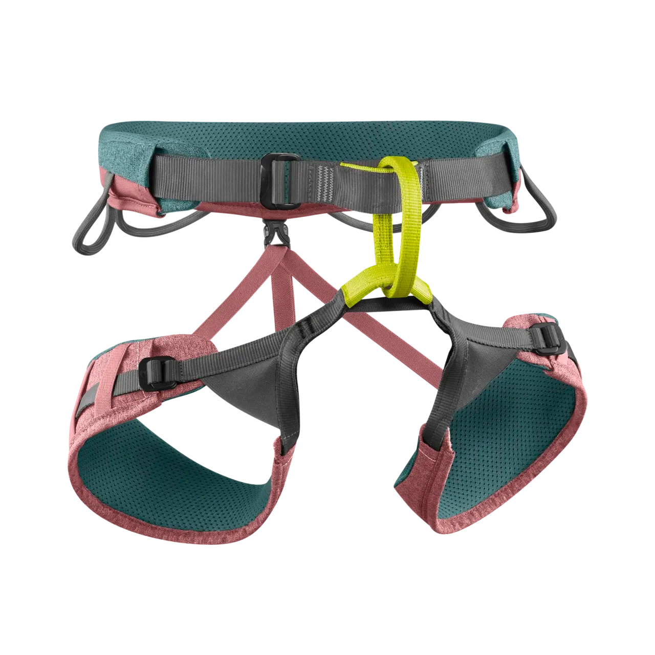 Jayne Harness (Past Season)