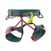 Jayne Harness (Past Season)
