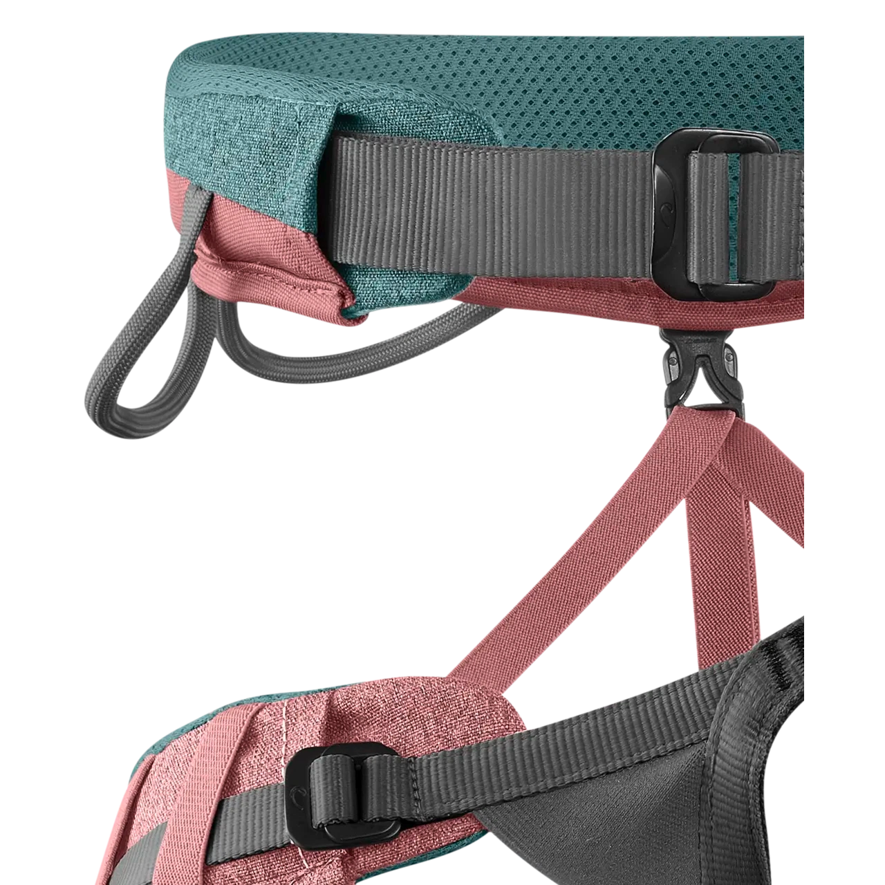 Jayne Harness (Past Season)