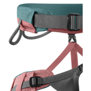 Jayne Harness (Past Season)
