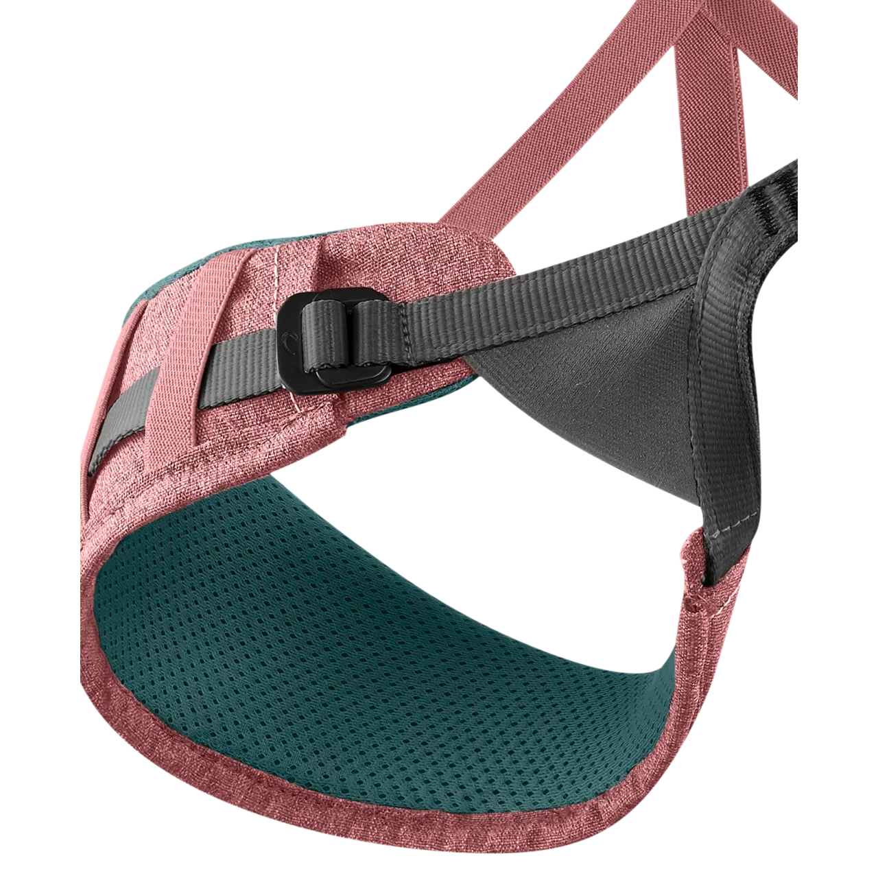 Jayne Harness (Past Season)
