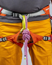 Jay Harness