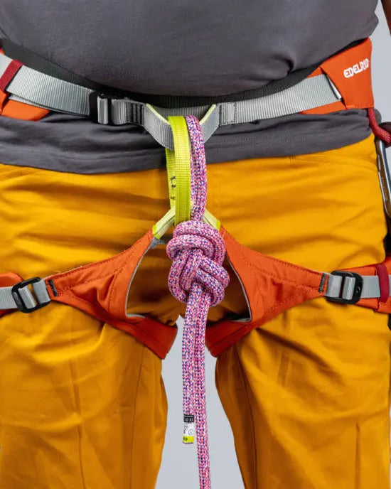 Jay Harness