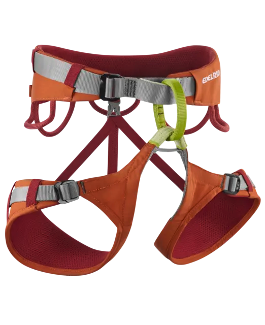 Jay Harness