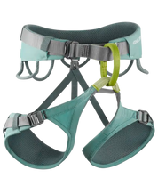 Jayne Harness