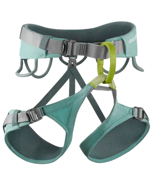 Jayne Harness