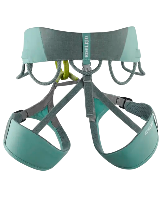 Jayne Harness