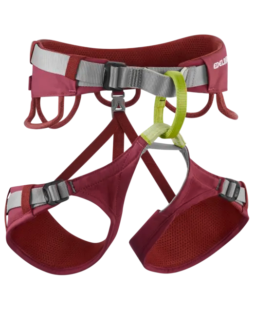 Jayne Harness