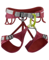 Jayne Harness