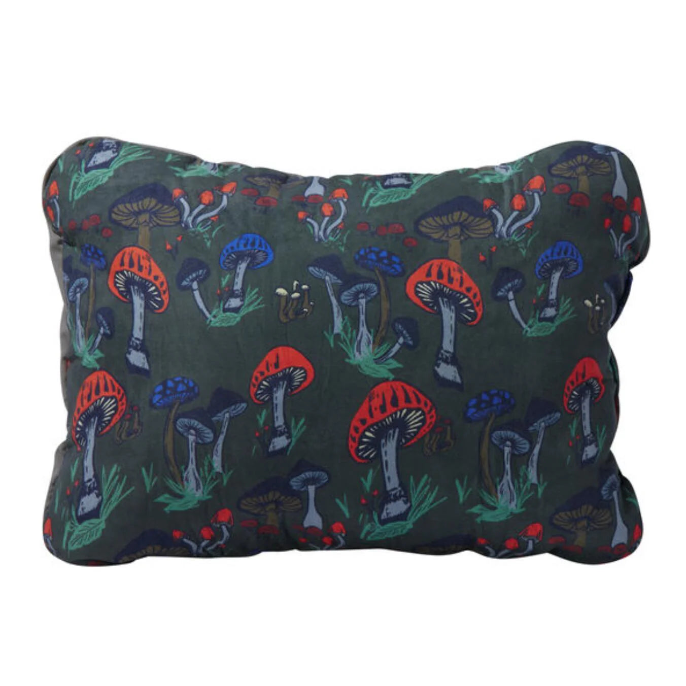 Thermarest Compressible Pillow Cinch