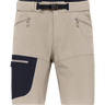 Men's Falketind Flex1 Light Shorts