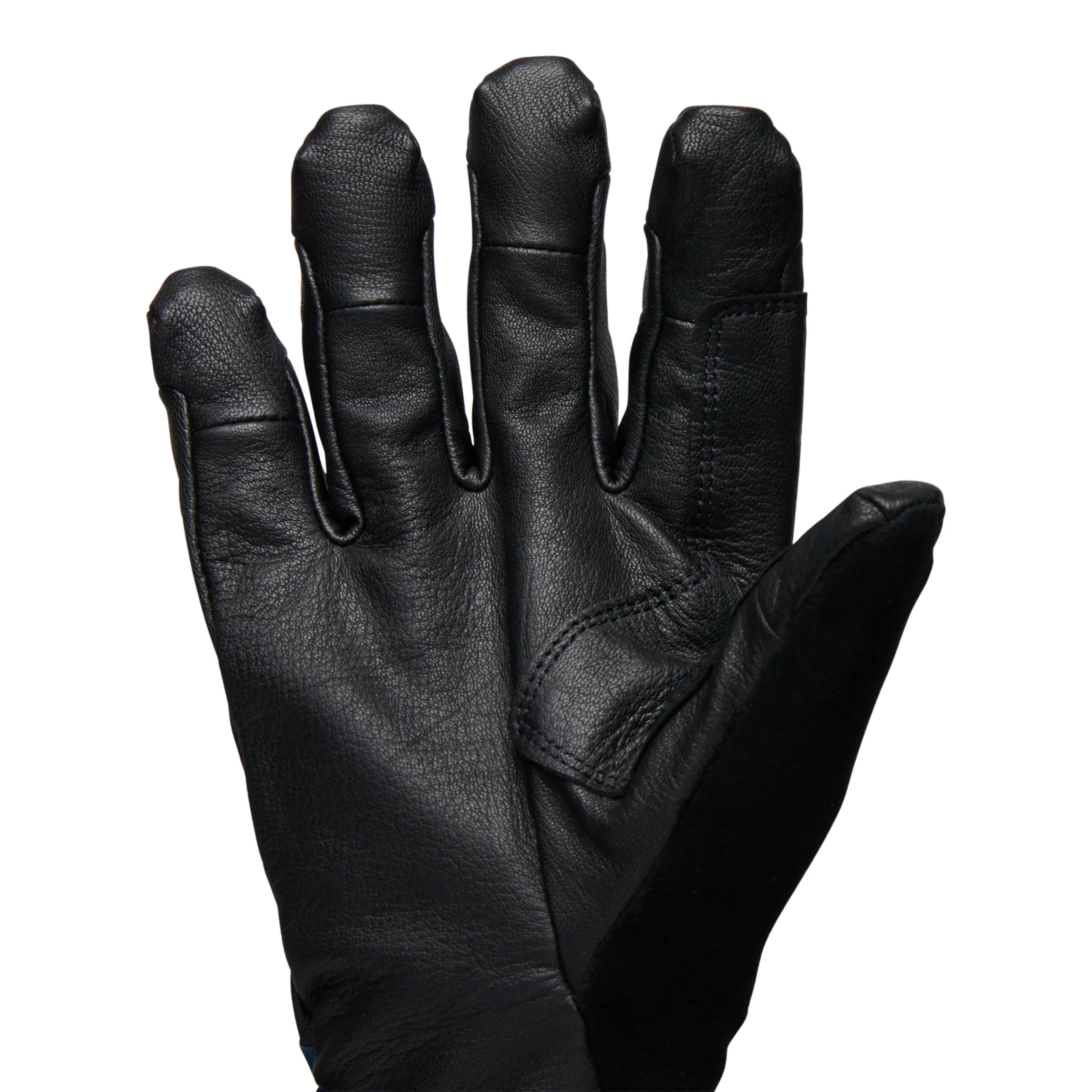 Men's Tour Pro Gloves