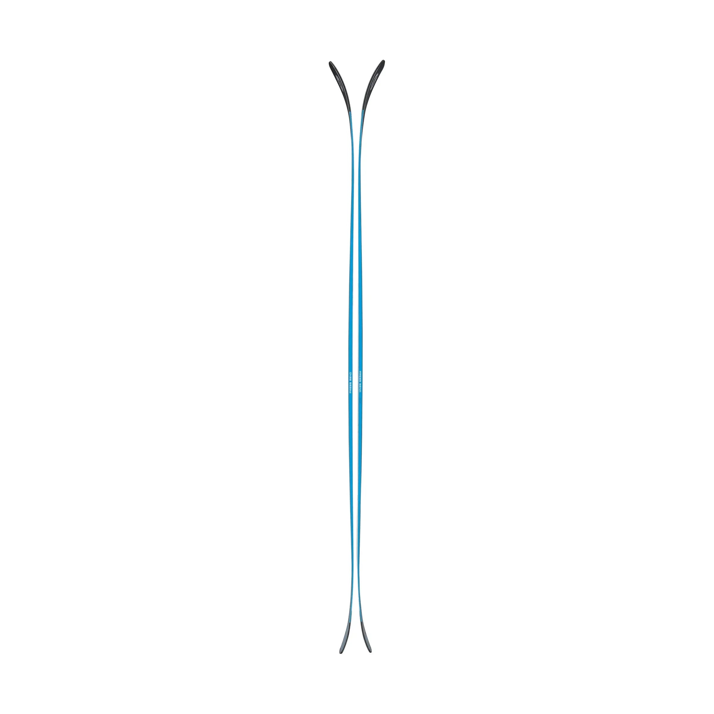 Rustler 10 Skis 2026