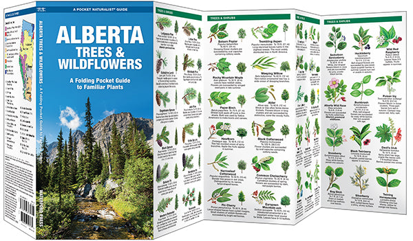Alberta Trees & Wildflowers