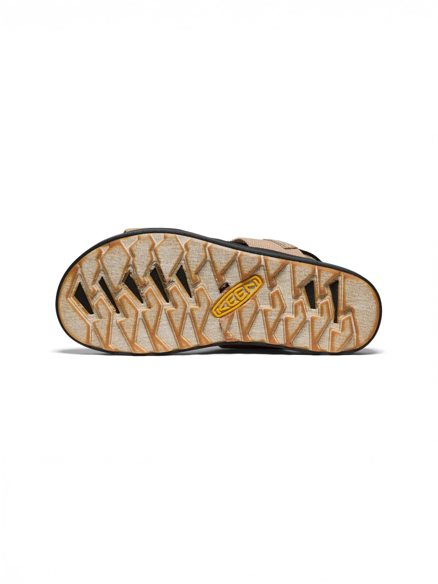 color:cornstalk / black