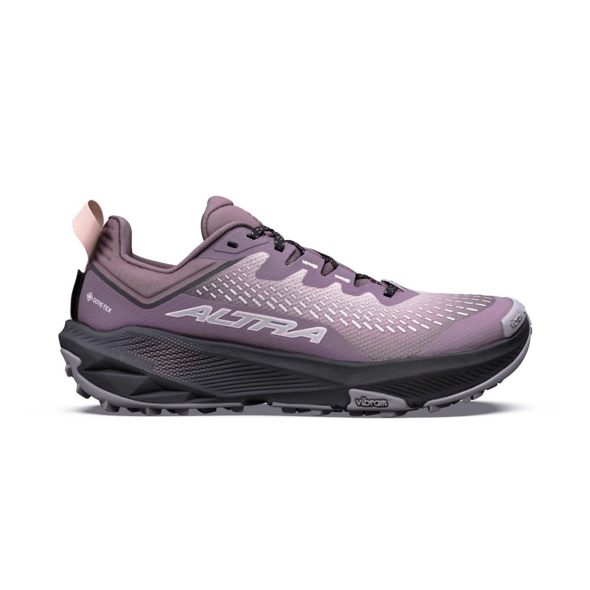 Women's Experience Wild 3+ GTX Running Shoes product image