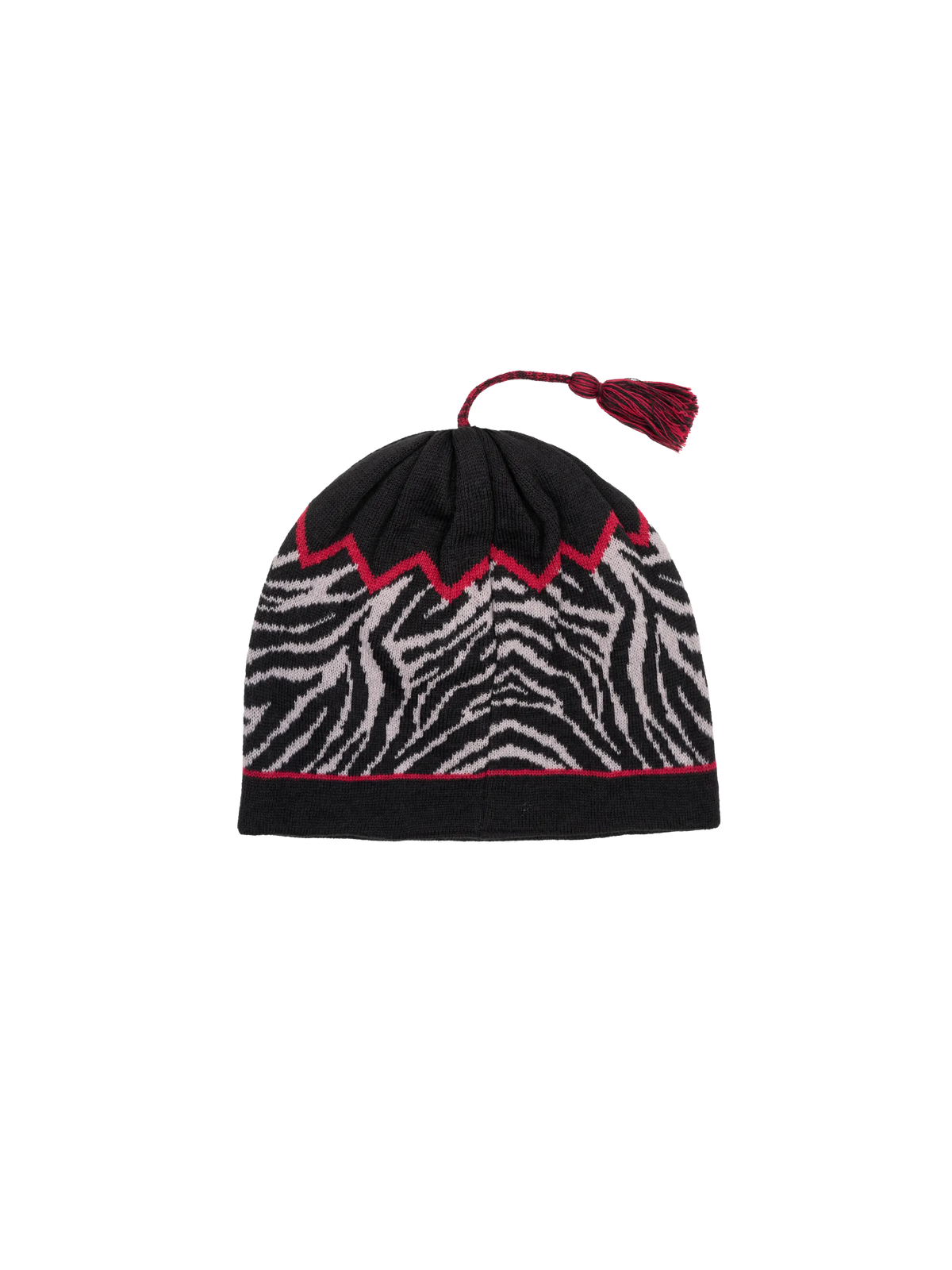 Tassel Skully Beanie product image