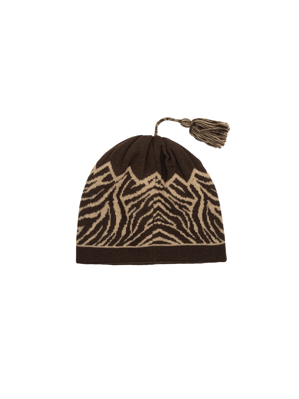 Tassel Skully Beanie product image