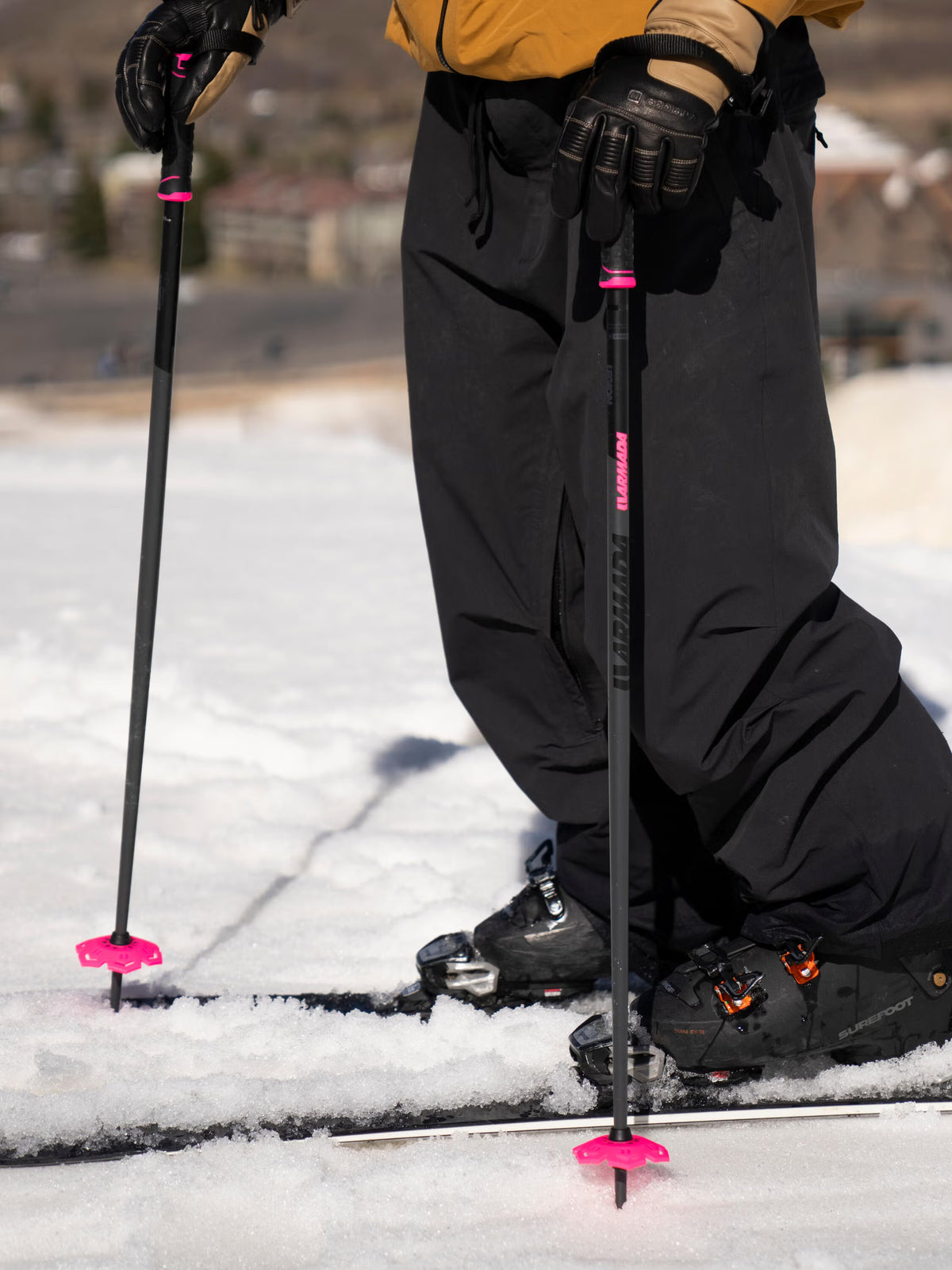 Legion Ski Poles