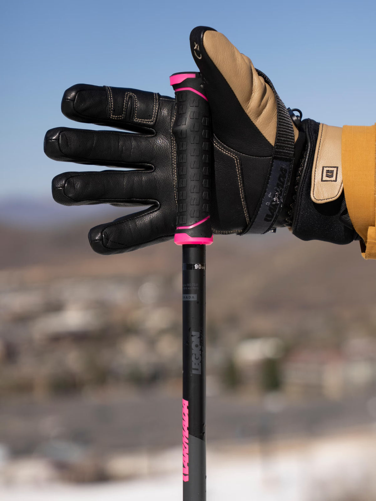 Legion Ski Poles