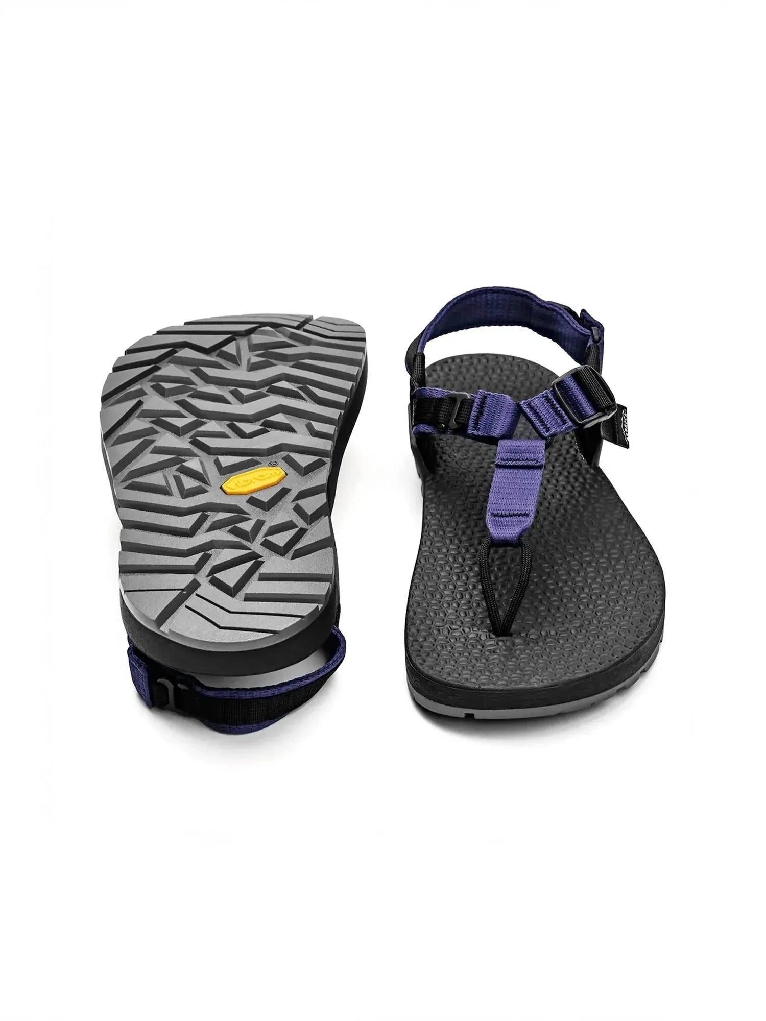 color:lupine purple