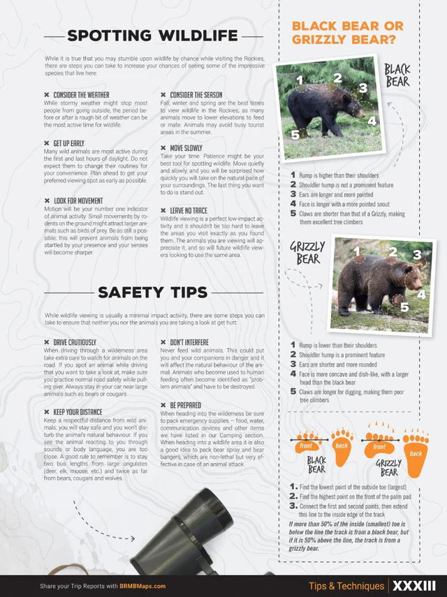 Canadian Rockies Backroad Mapbook | 4th Edition