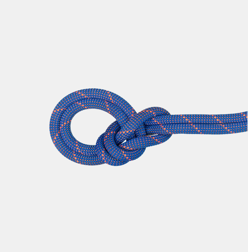 9.0 Crag Sender Dry Rope