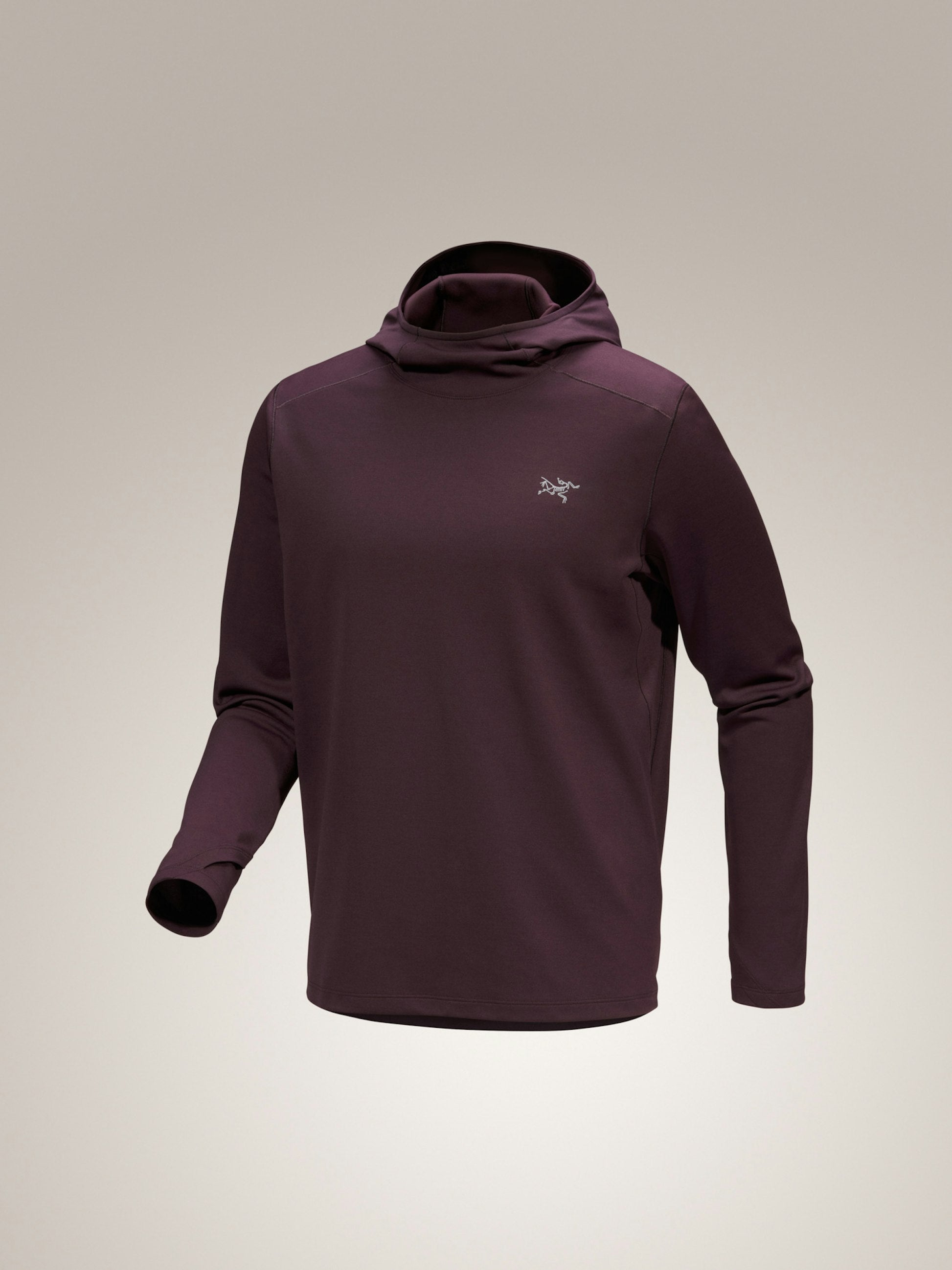 Men's Cormac Heavyweight Hoody (Past Season)