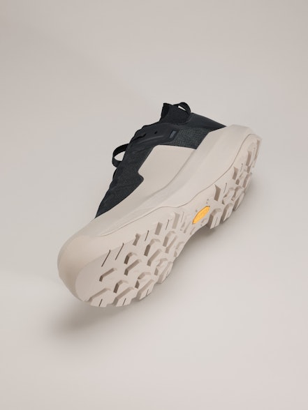 Men's Vertex Alpine Shoes