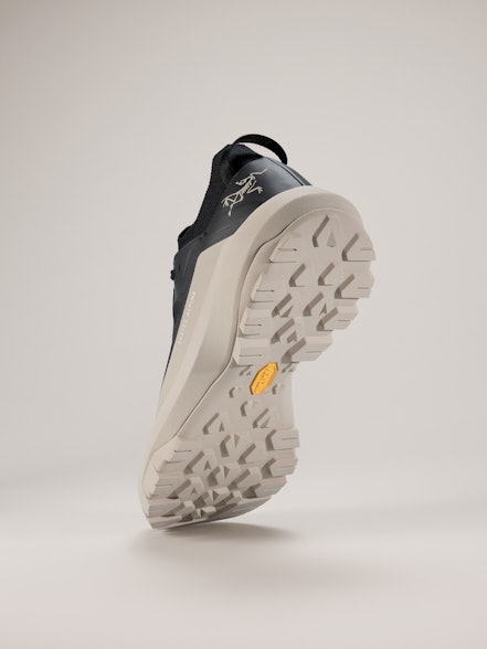 Men's Vertex Alpine Shoes
