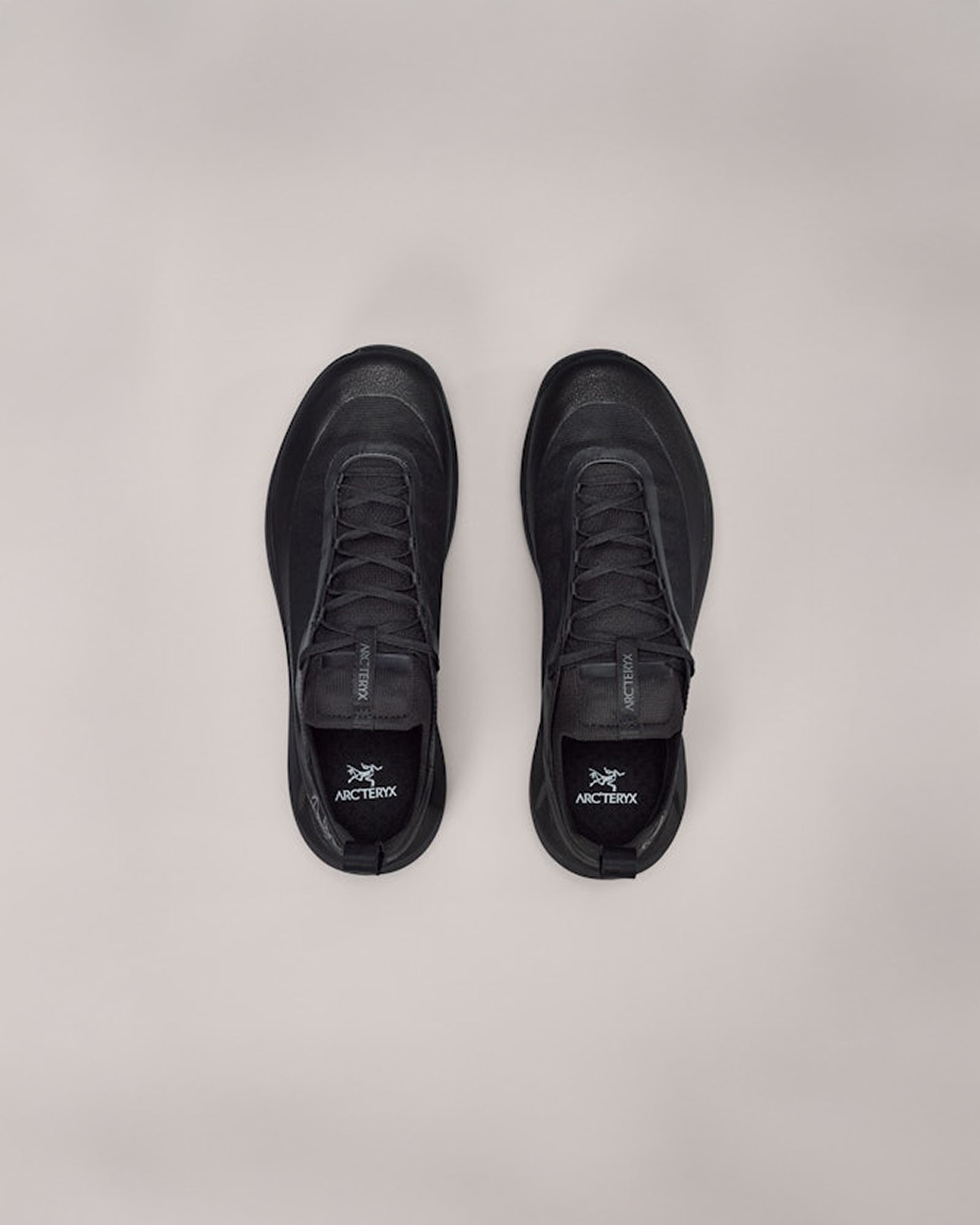 color:tatsu / anecdote