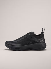 Men's Vertex Alpine GTX Shoes