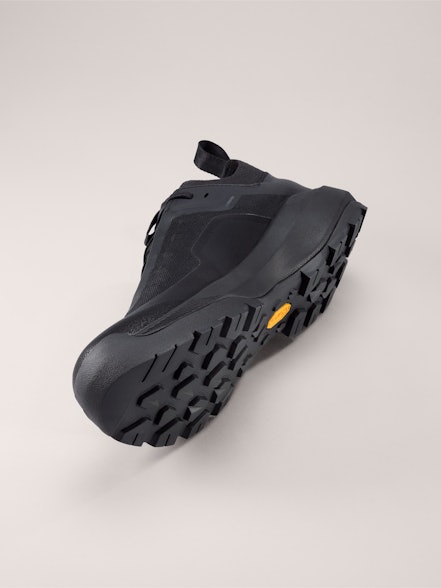 Men's Vertex Alpine GTX Shoes