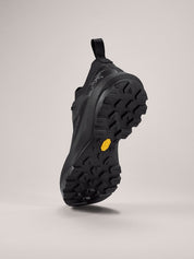 Men's Vertex Alpine GTX Shoes