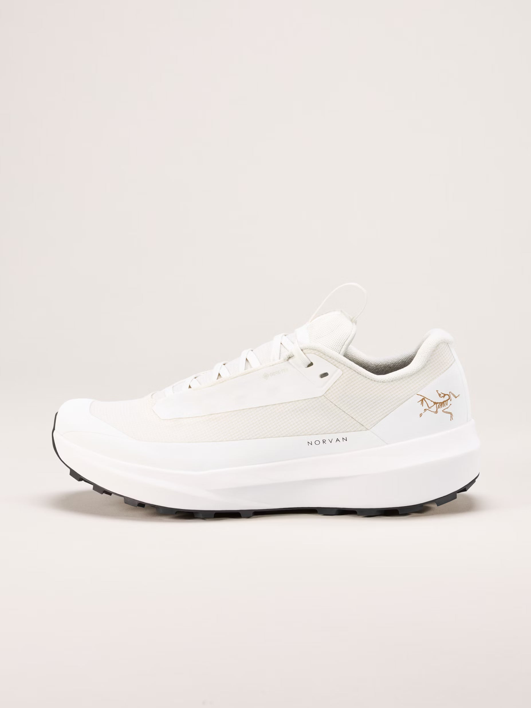 Women's Norvan LD 4 GTX Running Shoes