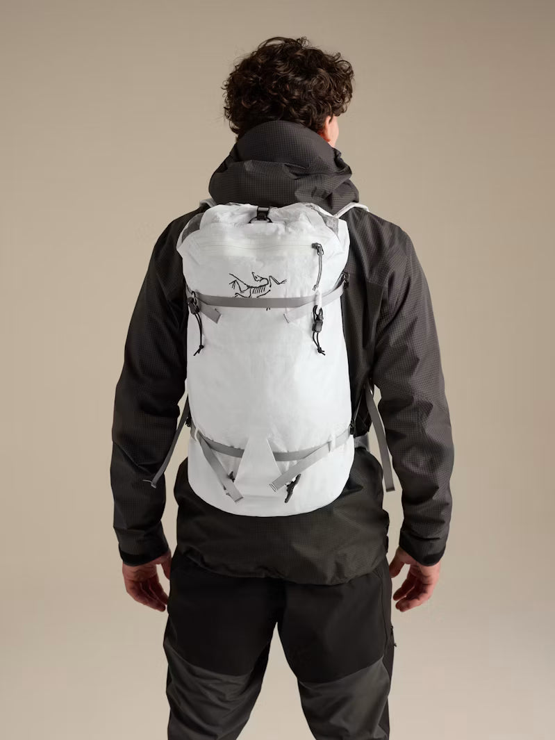 Alpha SL 30 Backpack