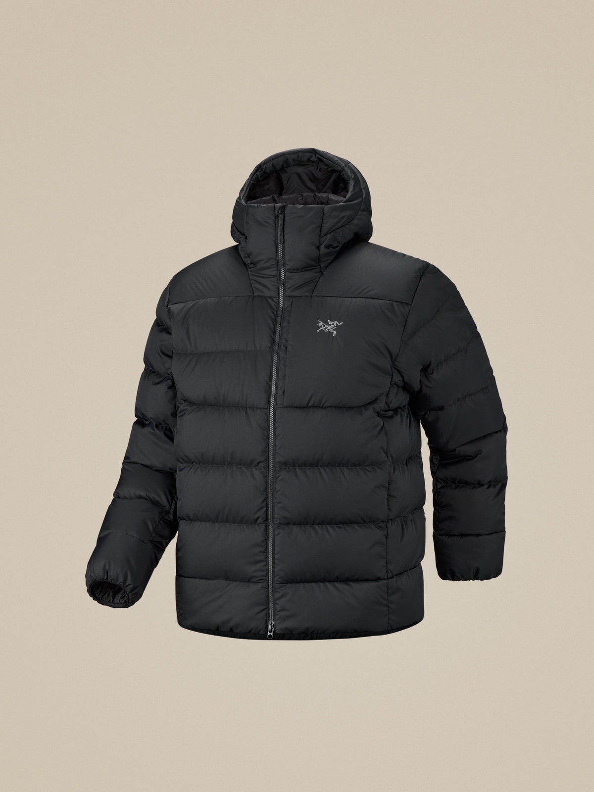 Men’s Thorium Hoody product image