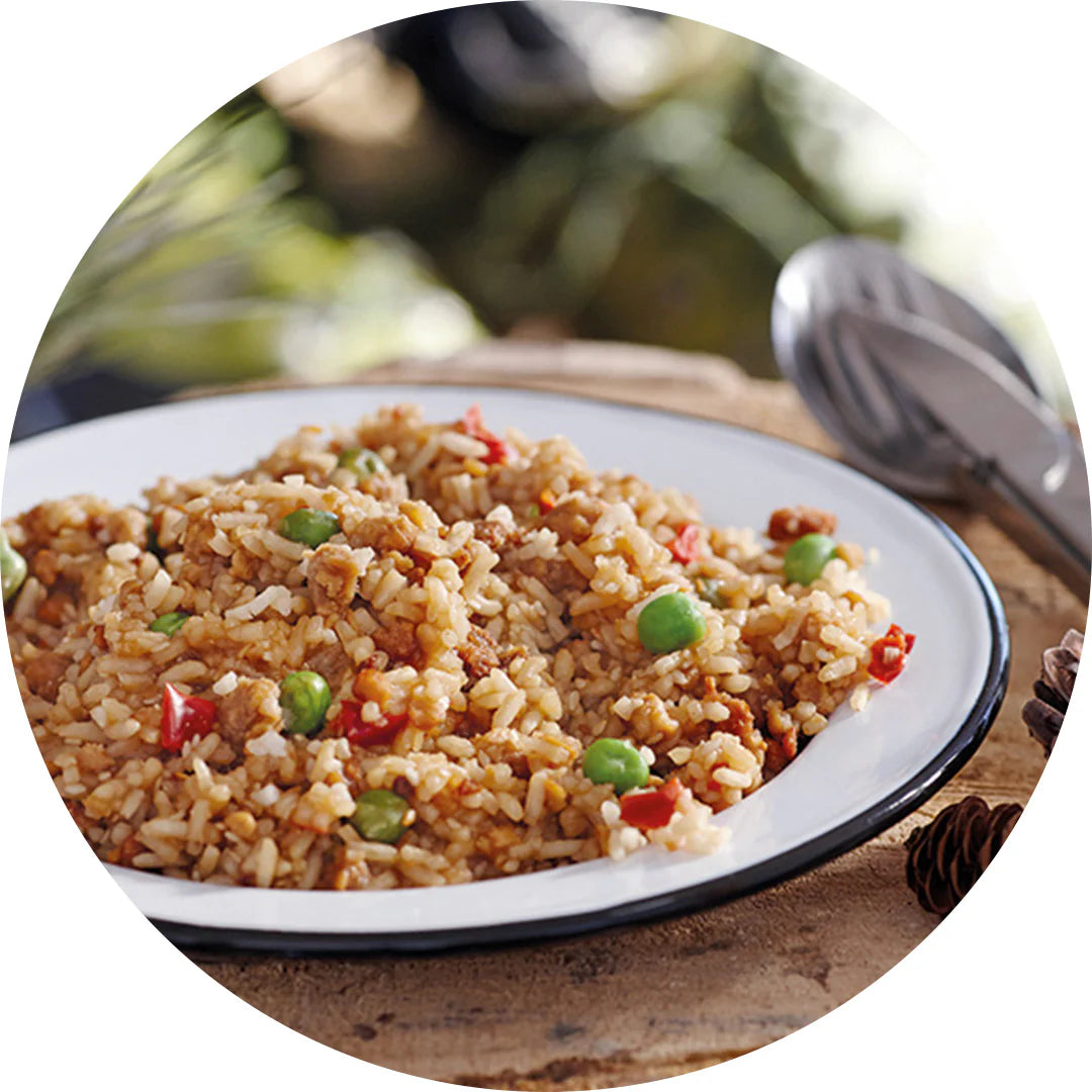 Teriyaki Rice