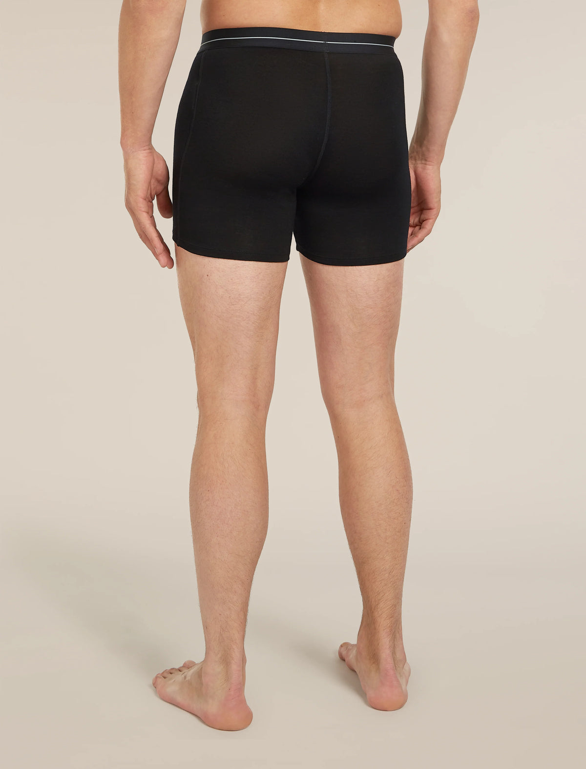 Men's Merino 150 Anatomica Boxers w/Fly product image