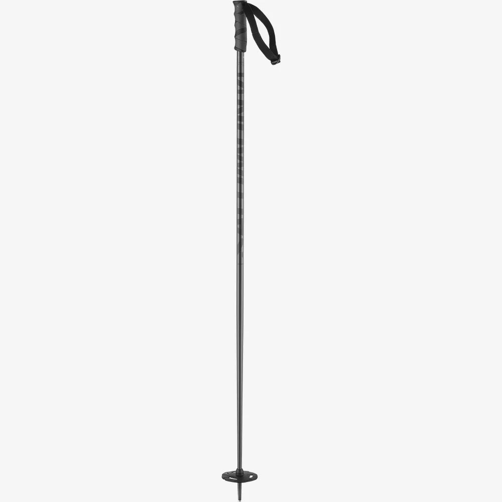 Hacker Ski Pole