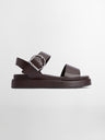 color:dark brown